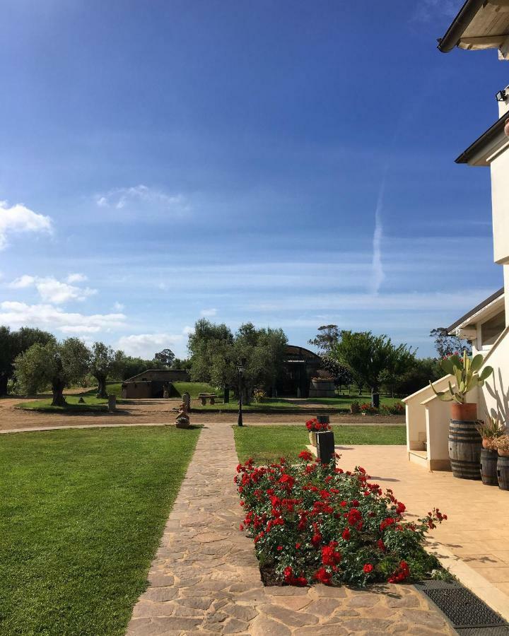 Villa Olga Tarquinia Exterior foto